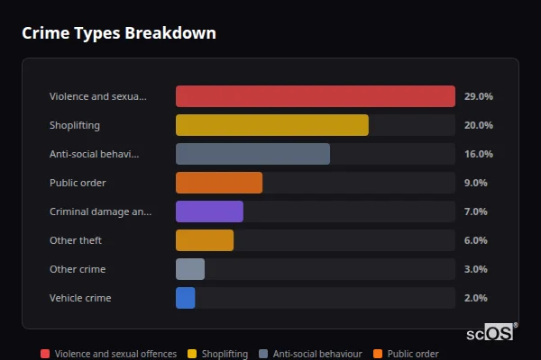 Crime Types Breakdown for Lancing and Sompting - showing Violence and sexual offences (29%), Shoplifting (20%), Anti-social behaviour (16%)