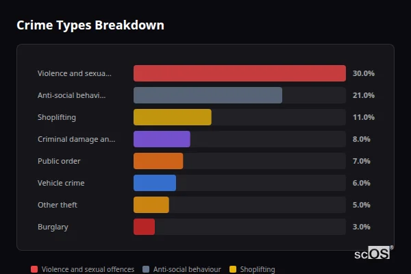 Crime Types Breakdown for Rustington - showing Violence and sexual offences (30%), Anti-social behaviour (21%), Shoplifting (11%)