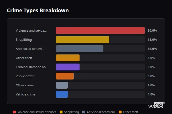 Crime Types Breakdown - Selston Crime Types Breakdown for Selston - showing Violence and sexual offences (30%), Shoplifting (18%), Anti-social behaviour (16%)