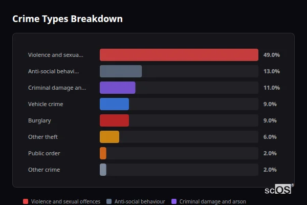 Crime Types Breakdown for Wittersham - showing Violence and sexual offences (49%), Anti-social behaviour (13%), Criminal damage and arson (11%)