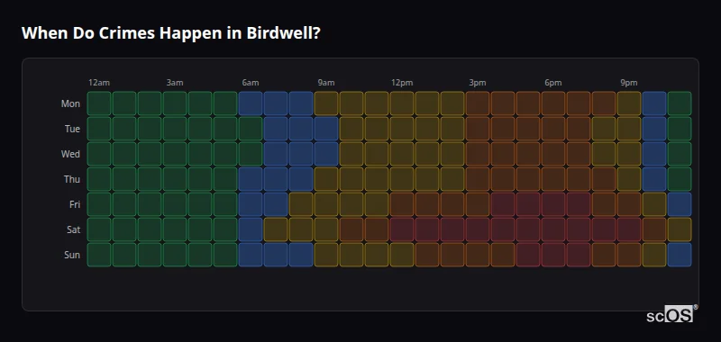 Crime time heatmap for Birdwell - showing when crimes are most likely to occur by day and hour