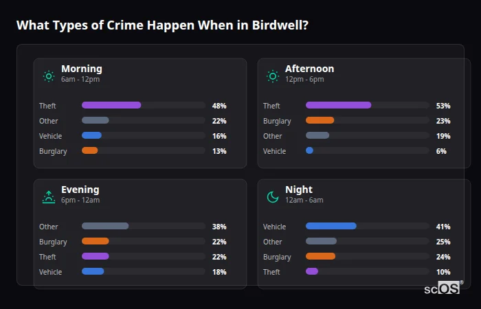 Crime types by time period for Birdwell - showing breakdown of burglary, violence, theft, and vehicle crime by morning, afternoon, evening, and night