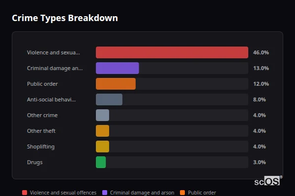 Crime Types Breakdown for Dalton-in-Furness - showing Violence and sexual offences (46%), Criminal damage and arson (13%), Public order (12%)
