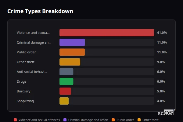 Crime Types Breakdown for Rural Barrow-in-Furness - showing Violence and sexual offences (41%), Criminal damage and arson (11%), Public order (11%)