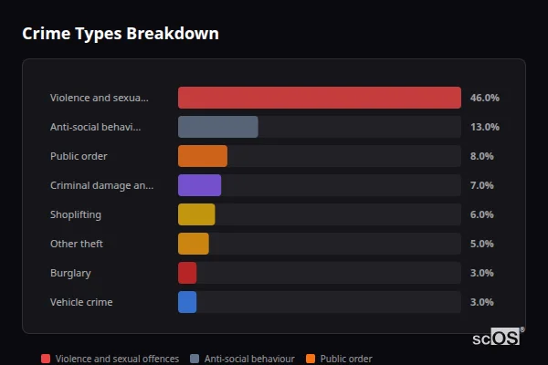 Crime Types Breakdown for Basingstoke - showing Violence and sexual offences (46%), Anti-social behaviour (13%), Public order (8%)
