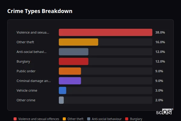 Crime Types Breakdown for Sherborne St John - showing Violence and sexual offences (38%), Other theft (16%), Anti-social behaviour (12%)