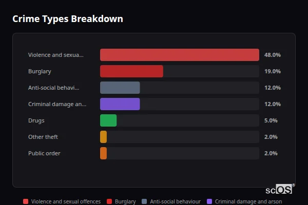 Crime Types Breakdown for Silchester - showing Violence and sexual offences (48%), Burglary (19%), Anti-social behaviour (12%)