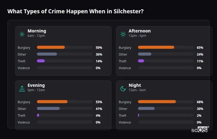 Crime types by time period for Silchester - showing breakdown of burglary, violence, theft, and vehicle crime by morning, afternoon, evening, and night