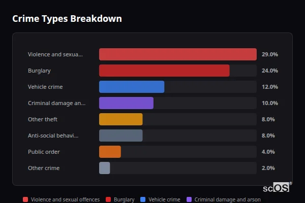 Crime Types Breakdown for St Mary Bourne - showing Violence and sexual offences (29%), Burglary (24%), Vehicle crime (12%)