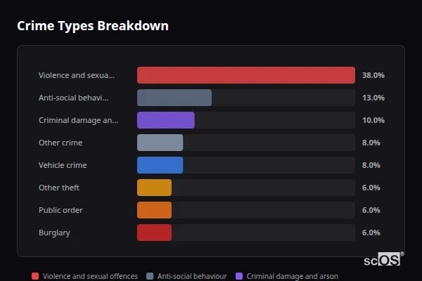 Crime Types Breakdown for Rural Bassetlaw - showing Violence and sexual offences (38%), Anti-social behaviour (13%), Criminal damage and arson (10%)
