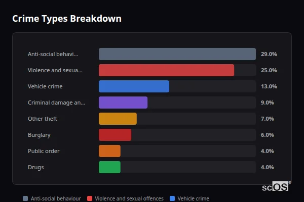 Crime Types Breakdown for Rural Blackburn with Darwen - showing Anti-social behaviour (29%), Violence and sexual offences (25%), Vehicle crime (13%)