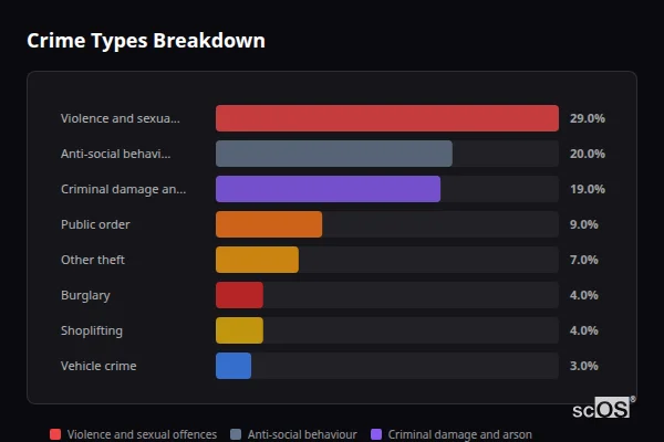 Crime Types Breakdown for Blaina - showing Violence and sexual offences (29%), Anti-social behaviour (20%), Criminal damage and arson (19%)
