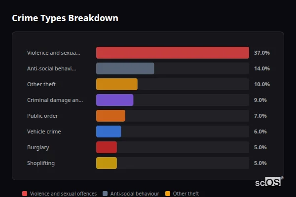 Crime Types Breakdown for Bolsover - showing Violence and sexual offences (37%), Anti-social behaviour (14%), Other theft (10%)