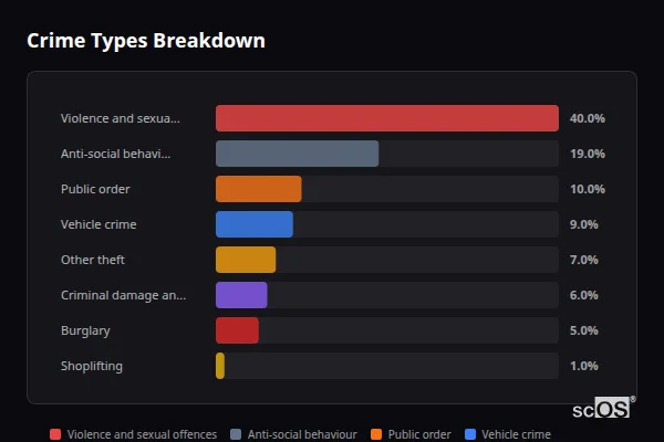 Crime Types Breakdown - Binfield Crime Types Breakdown for Binfield - showing Violence and sexual offences (40%), Anti-social behaviour (19%), Public order (10%)