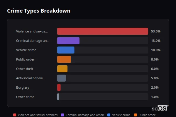 Crime Types Breakdown for Rayne - showing Violence and sexual offences (53%), Criminal damage and arson (13%), Vehicle crime (10%)
