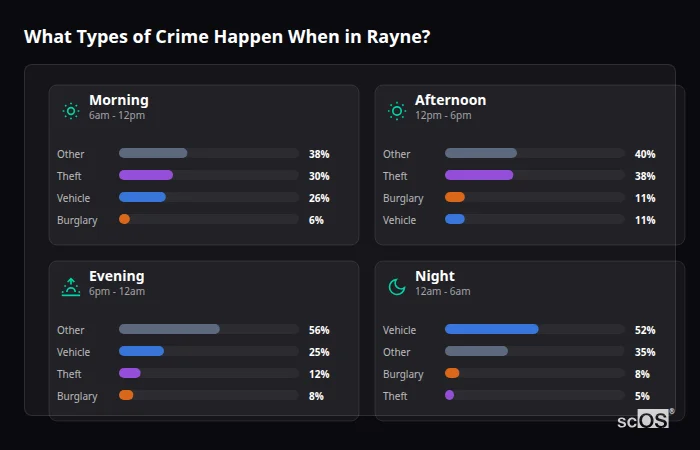 Crime types by time period for Rayne - showing breakdown of burglary, violence, theft, and vehicle crime by morning, afternoon, evening, and night