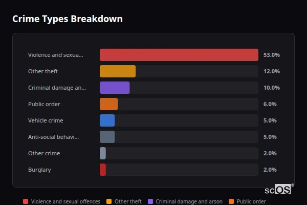Crime Types Breakdown for Sible Hedingham - showing Violence and sexual offences (53%), Other theft (12%), Criminal damage and arson (10%)