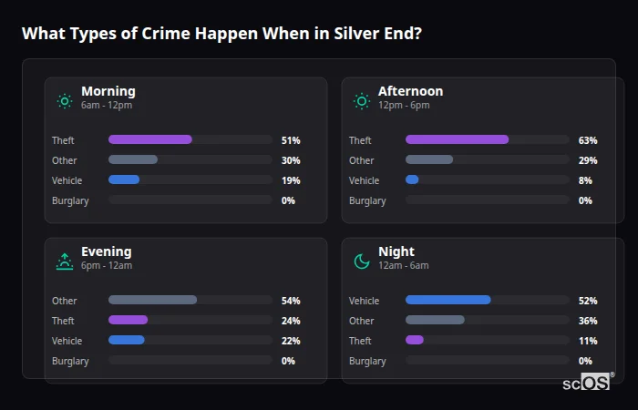 What Types of Crime Happen When in Silver End? Crime types by time period for Silver End - showing breakdown of burglary, violence, theft, and vehicle crime by morning, afternoon, evening, and night