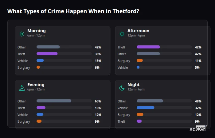 Crime types by time period for Thetford - showing breakdown of burglary, violence, theft, and vehicle crime by morning, afternoon, evening, and night