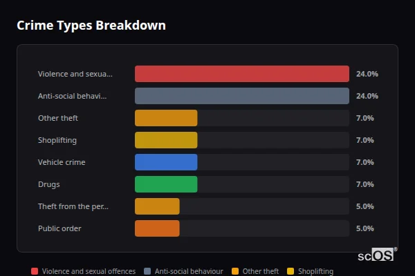 Crime Types Breakdown for Brent - showing Violence and sexual offences (24%), Anti-social behaviour (24%), Other theft (7%)