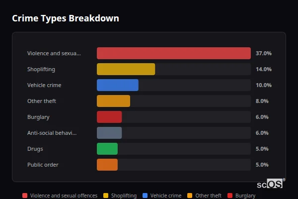 Crime Types Breakdown - Ingatestone Crime Types Breakdown for Ingatestone - showing Violence and sexual offences (37%), Shoplifting (14%), Vehicle crime (10%)