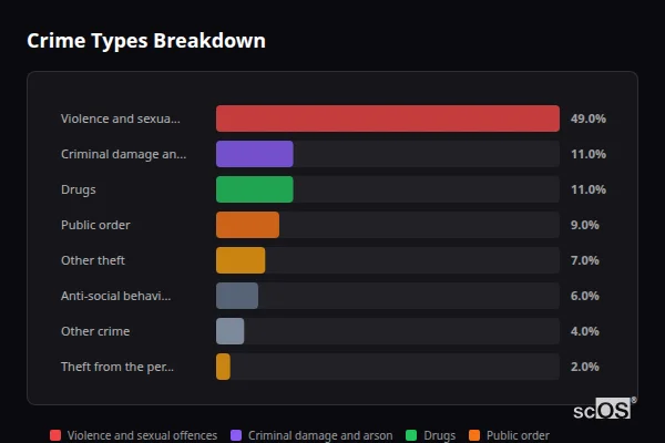 Crime Types Breakdown for Blaengarw - showing Violence and sexual offences (49%), Criminal damage and arson (11%), Drugs (11%)