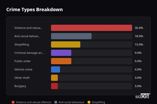 Crime Types Breakdown for Maesteg - showing Violence and sexual offences (36%), Anti-social behaviour (18%), Shoplifting (13%)