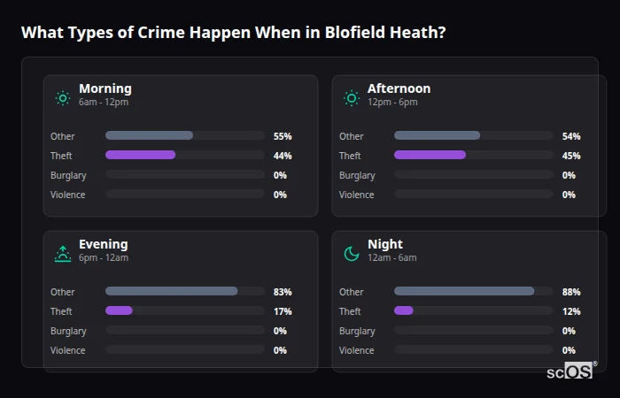 Crime types by time period for Blofield Heath - showing breakdown of burglary, violence, theft, and vehicle crime by morning, afternoon, evening, and night
