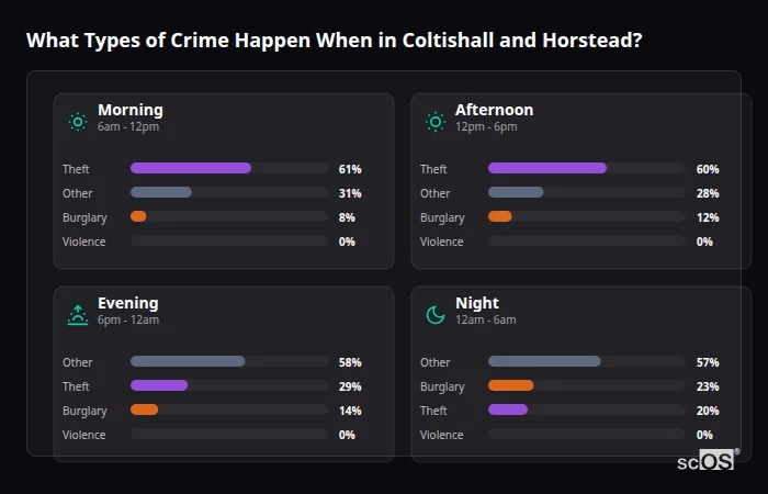 What Types of Crime Happen When in Coltishall and Horstead? Crime types by time period for Coltishall and Horstead - showing breakdown of burglary, violence, theft, and vehicle crime by morning, afternoon, evening, and night
