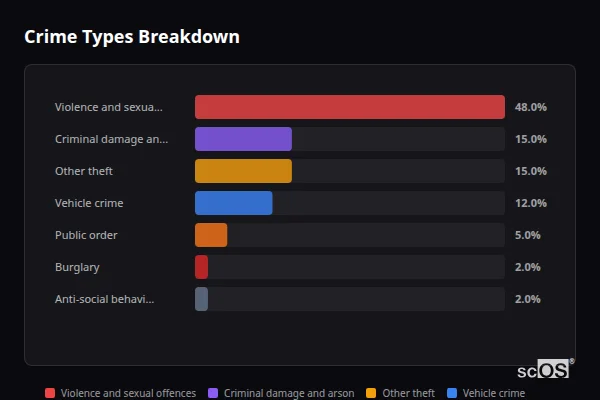 Crime Types Breakdown - Brill Crime Types Breakdown for Brill - showing Violence and sexual offences (48%), Criminal damage and arson (15%), Other theft (15%)
