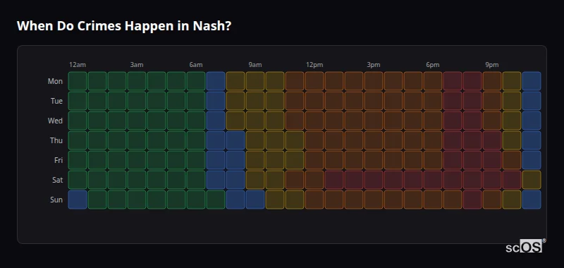 Crime time heatmap for Nash - showing when crimes are most likely to occur by day and hour