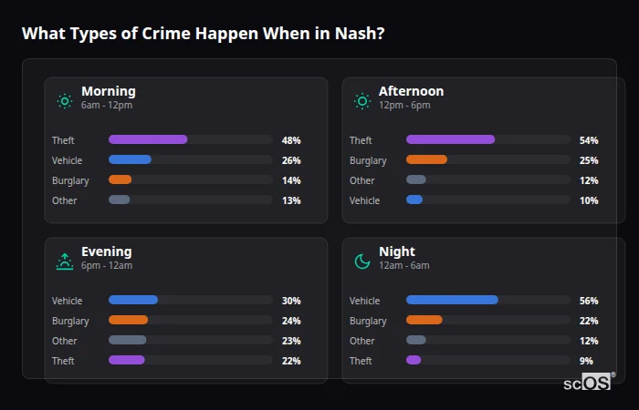 Crime types by time period for Nash - showing breakdown of burglary, violence, theft, and vehicle crime by morning, afternoon, evening, and night