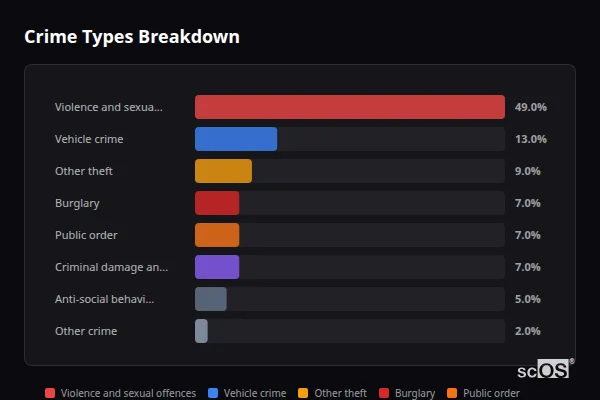 Crime Types Breakdown for Newton Longville - showing Violence and sexual offences (49%), Vehicle crime (13%), Other theft (9%)
