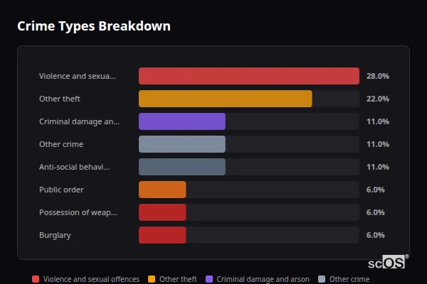 Crime Types Breakdown for The City - showing Violence and sexual offences (28%), Other theft (22%), Criminal damage and arson (11%)