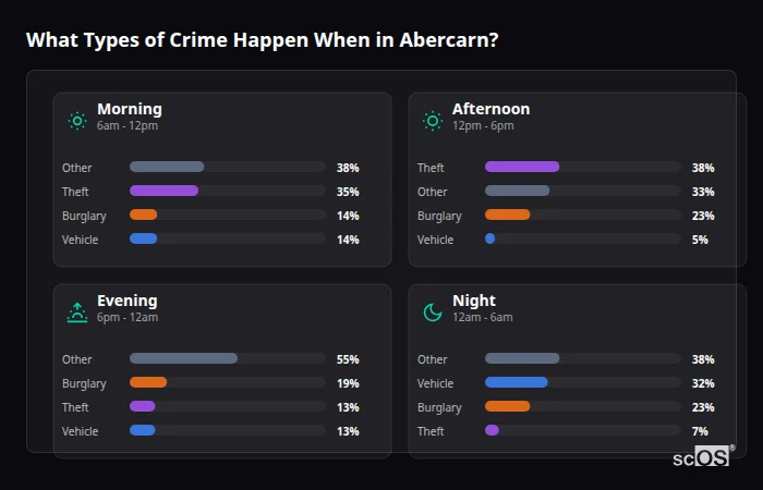 Crime types by time period for Abercarn - showing breakdown of burglary, violence, theft, and vehicle crime by morning, afternoon, evening, and night