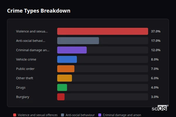 Crime Types Breakdown for Maesycwmmer - showing Violence and sexual offences (37%), Anti-social behaviour (17%), Criminal damage and arson (12%)