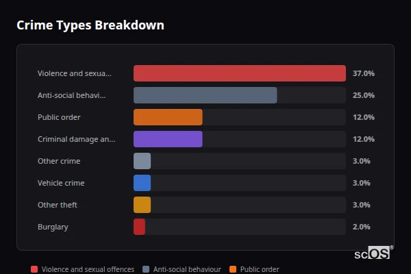 Crime Types Breakdown for New Tredegar - showing Violence and sexual offences (37%), Anti-social behaviour (25%), Public order (12%)