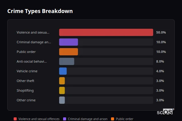 Crime Types Breakdown for Tir-y-berth and Glan-y-nant - showing Violence and sexual offences (50%), Criminal damage and arson (10%), Public order (10%)