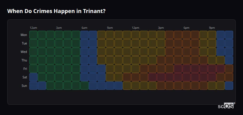 Crime time heatmap for Trinant - showing when crimes are most likely to occur by day and hour