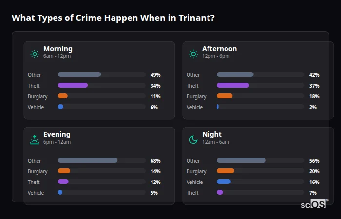 Crime types by time period for Trinant - showing breakdown of burglary, violence, theft, and vehicle crime by morning, afternoon, evening, and night