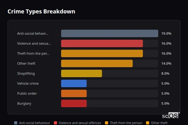 Crime Types Breakdown for Camden - showing Anti-social behaviour (19%), Theft from the person (16%), Violence and sexual offences (16%)