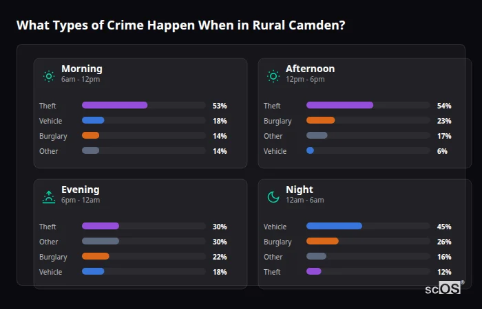 Crime types by time period for Rural Camden - showing breakdown of burglary, violence, theft, and vehicle crime by morning, afternoon, evening, and night