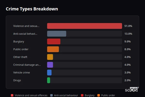 Crime Types Breakdown for Brynamman - showing Violence and sexual offences (51%), Anti-social behaviour (13%), Burglary (9%)