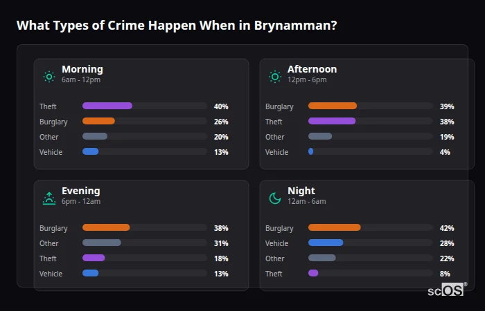 Crime types by time period for Brynamman - showing breakdown of burglary, violence, theft, and vehicle crime by morning, afternoon, evening, and night