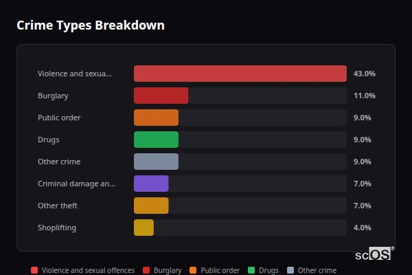 Crime Types Breakdown for Llandovery - showing Violence and sexual offences (43%), Burglary (11%), Public order (9%)