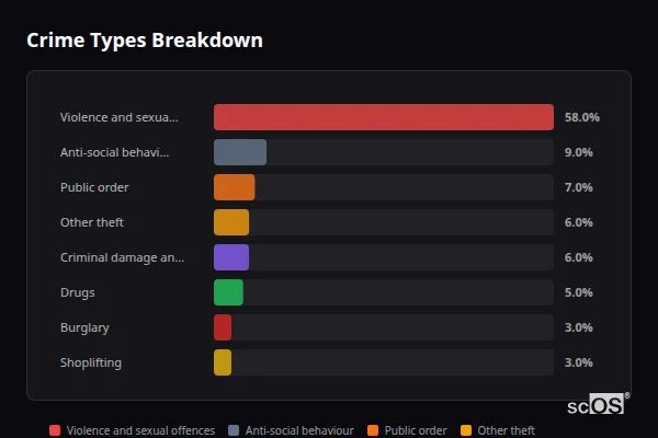 Crime Types Breakdown for Newcastle Emlyn - showing Violence and sexual offences (58%), Anti-social behaviour (9%), Public order (7%)