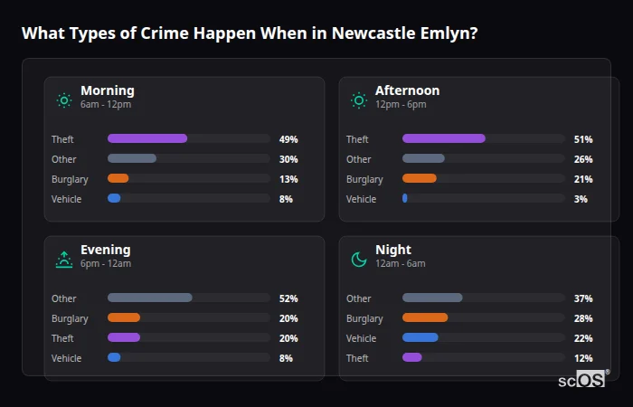 Crime types by time period for Newcastle Emlyn - showing breakdown of burglary, violence, theft, and vehicle crime by morning, afternoon, evening, and night