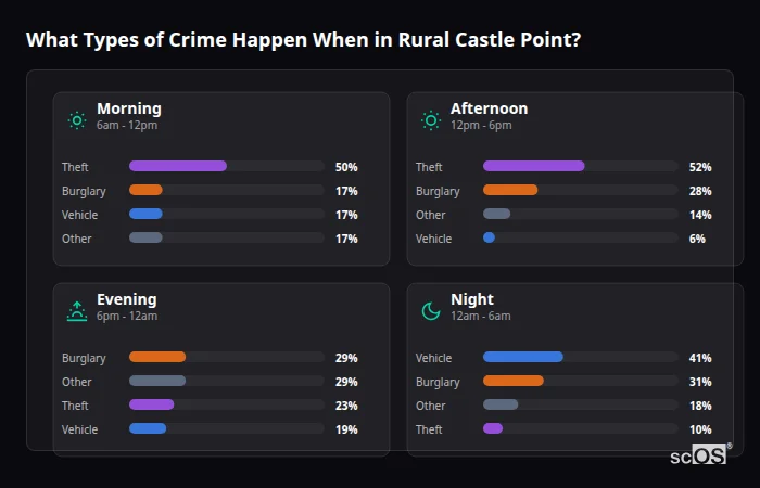 What Types of Crime Happen When in Rural Castle Point? Crime types by time period for Rural Castle Point - showing breakdown of burglary, violence, theft, and vehicle crime by morning, afternoon, evening, and night