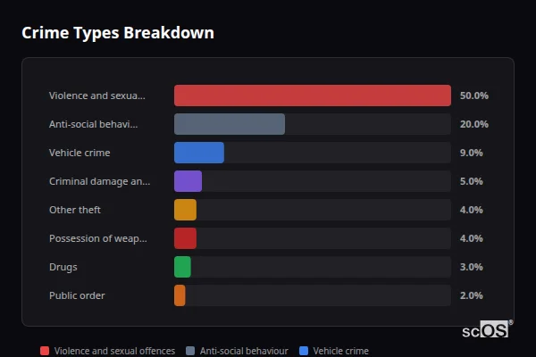 Crime Types Breakdown - Chicksands Crime Types Breakdown for Chicksands - showing Violence and sexual offences (50%), Anti-social behaviour (20%), Vehicle crime (9%)