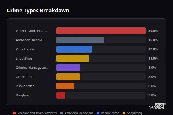 Crime Types Breakdown - Flitwick Crime Types Breakdown for Flitwick - showing Violence and sexual offences (30%), Anti-social behaviour (16%), Vehicle crime (12%)